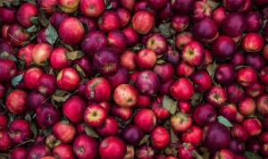Foto-Quelle: Photo by George Huffman on Unsplash