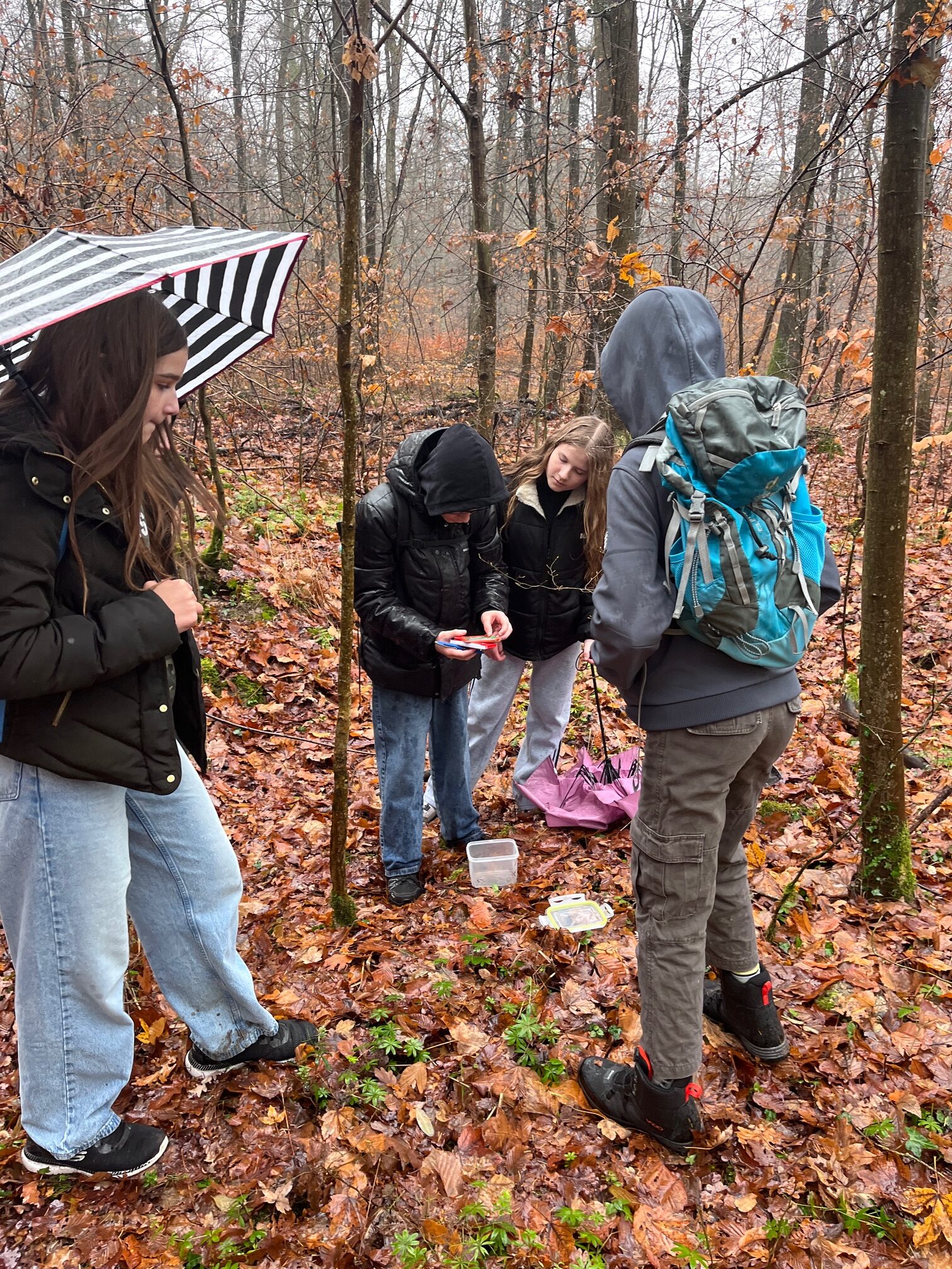 Du betrachtest gerade Geocaching der 8.Klassen im Rahmen der TIN-Tage
