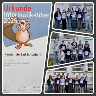 Du betrachtest gerade Der „Informatik Biber“ – Teilnahme der RSBS