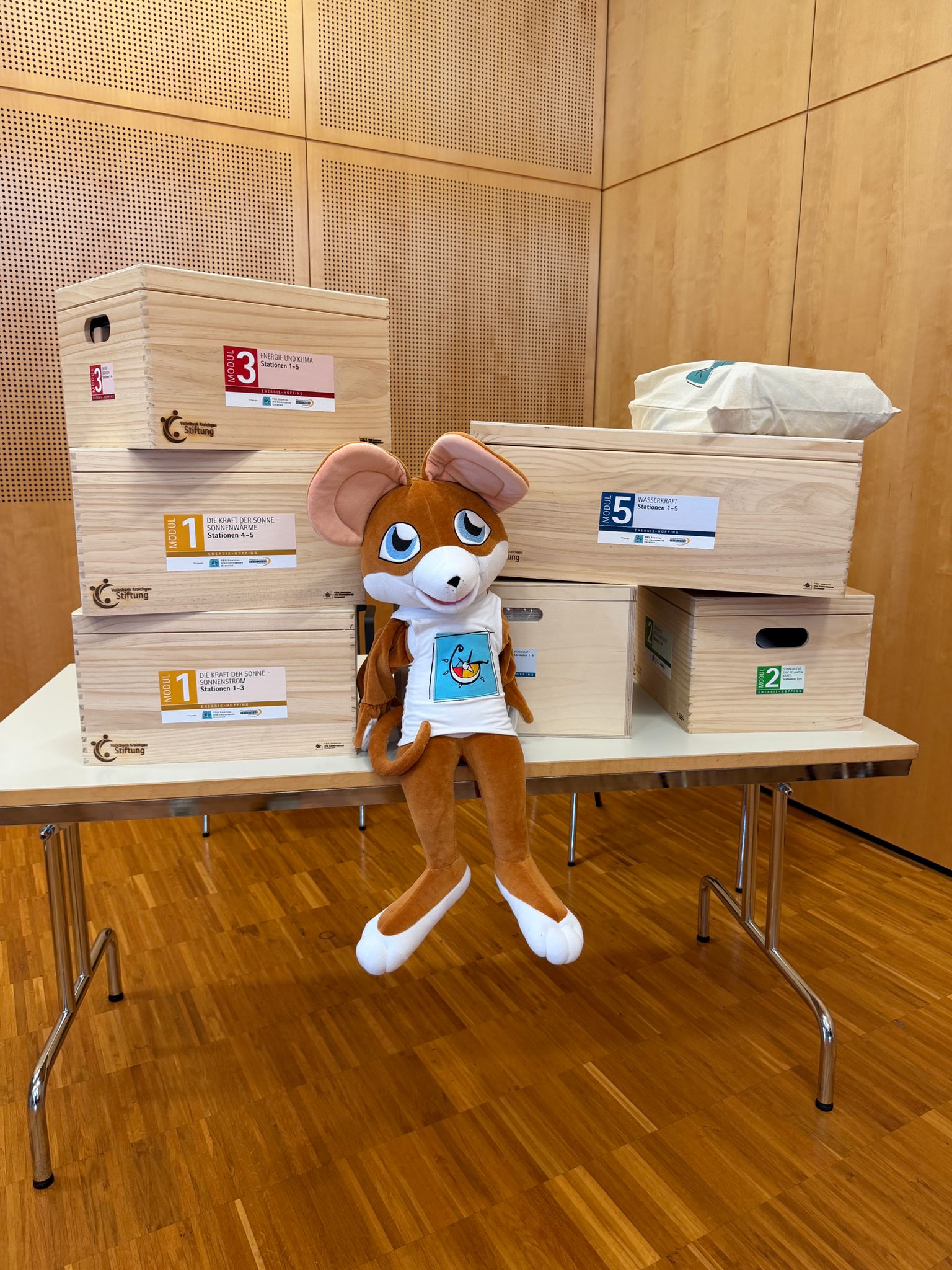 Du betrachtest gerade „Energie-Hopping-Boxen“ für den Physikunterricht an der Realschule Bad Schönborn