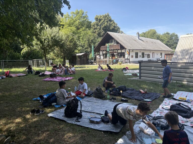 Mehr über den Artikel erfahren Sommerpicknick der Klasse 5c im Tierpark Mingolsheim