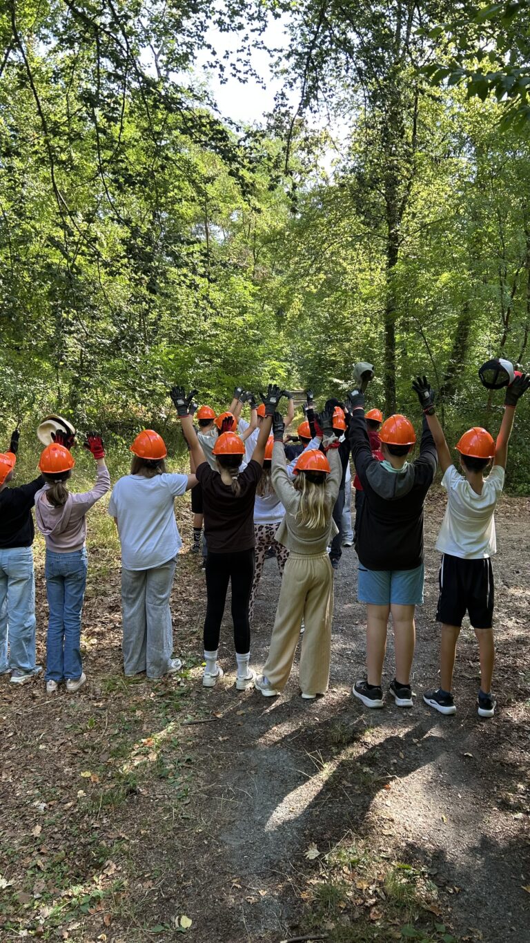 Mehr über den Artikel erfahren Waldtag der Klasse 5b: Lernen mit allen Sinnen im Kronauer Wald